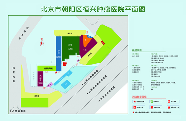 操BxX网北京市朝阳区桓兴肿瘤医院平面图